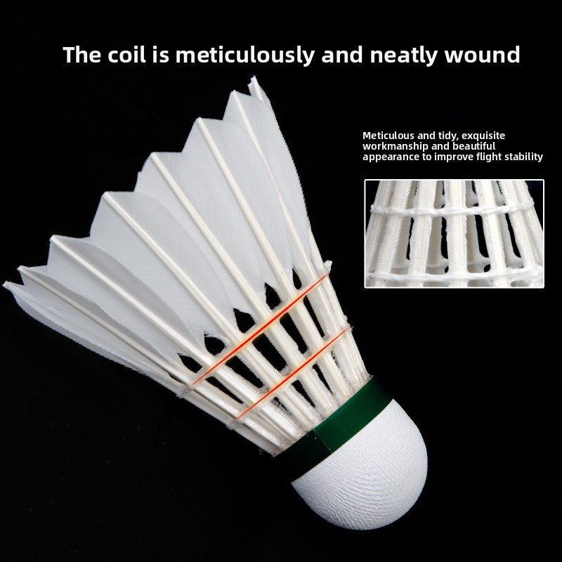 VICTOR Master 8 Professional B - đánh giá và giá Victor Shuttlecock Feather