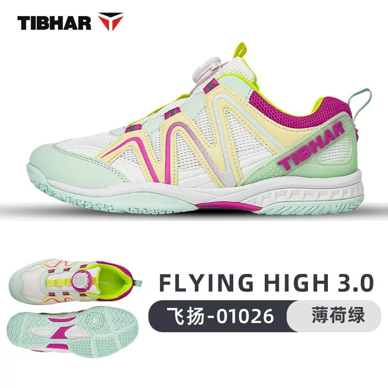 Professional Table Tennis Shoe - đánh giá và giá Badminton Footwork